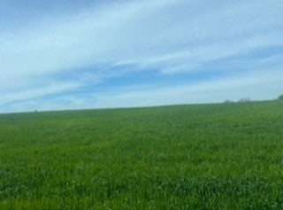 3 things we're doing for healthier soil