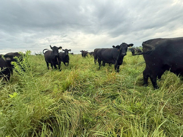 It's Not the Cow, It's the How.